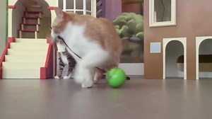 Watch SmartyKat Feather Whirl Electronic Motion Wand Cat Toys on Amazon Live