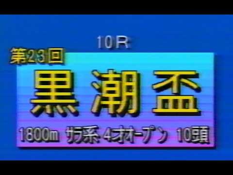 懐かしの「大井競馬ダイジェスト」1989年 黒潮盃