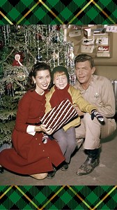 220K views · 8.6K reactions | Andy Griffith Museum on Reels | Facebook