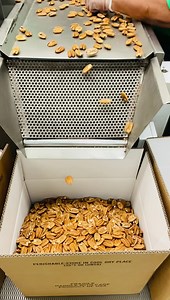 35 reactions · 6 comments | Did you know Sunnyland Pecans truly are Tree to Table? We hand select every pecan half For freshness and quality, growing and shelling only the finest pecans in the WORLD! Treat Dad or yourself today to the best pecans you’ll ever have. | Sunnyland Farms | Facebook