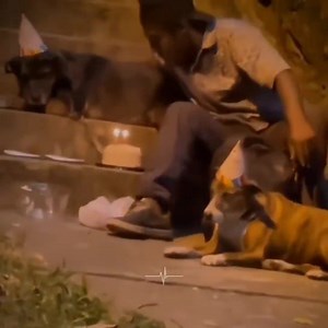 44K views · 3.6K reactions | It’s better to have animals as close friends than most humans ❤️‍啕✨ | 퐇퐞퐚퐫퐭 - 퐛 퐞 퐚 퐭 | Facebook