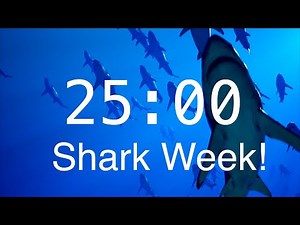 25 Minute Countdown Timer with Alarm | Relaxing Music | Shark Timer