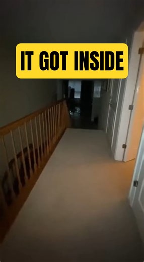 Something Was Already Inside the House | Appalachian Evidence #12