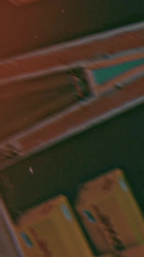 ALINE COURIER on TikTok