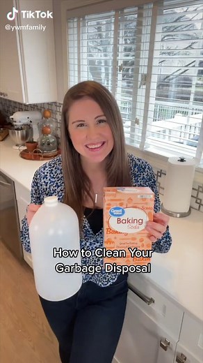 Garbage Disposal Cleaning Tips for Spring | Kitchen Cleaning