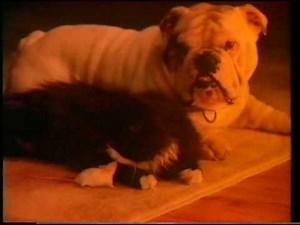 Real Fire (cat mouse dog) advert 1980s