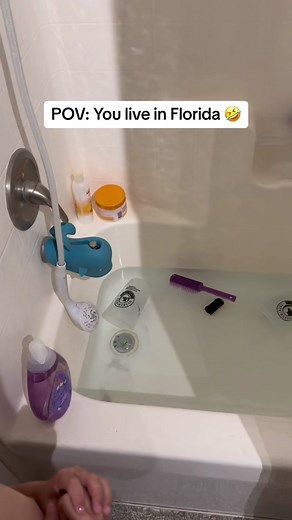 The last time a frog showed up in the kids bathroom it was in the toilet as the same kid was using it and hes starting to develop a complex 🤣 #impossibledreamsfarm #florida #floridaproblems #floridakids #farmlife #frog #pov