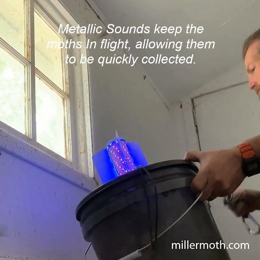 MillerMoth Moth Traps, Removal of Pest Moths from Indoor Structure