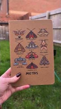 Moth season is BACK! ✨