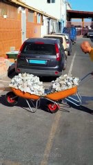 Pack, roll, explore! The ultimate DIY camping trolley!