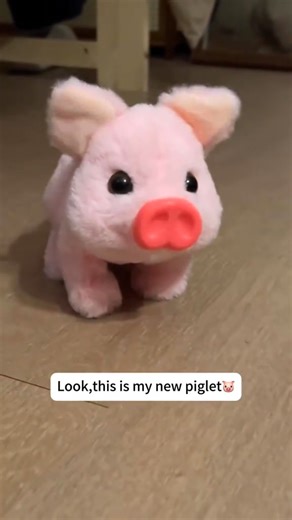 🐷 Adorable Fun Comes to Life! 🐷 💡 Realistic electric pig plush that walks, snorts & wags its tail 🎵 Interactive sounds bring endless laughter for kids and adults 🧸 Soft, huggable texture — safe and cozy for playtime 🎁 Perfect gift idea for birthdays or holidays 🛒 Bring home your playful piggy companion today! 👇 | Ixney13