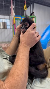 321K views · 16K reactions | Kids just need to realize there are no happy endings 藍 | Our Life Adventures | Facebook