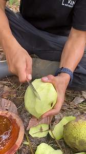 1M views · 28K reactions | Panen buah buah rujak | Ronal Kin P | Facebook