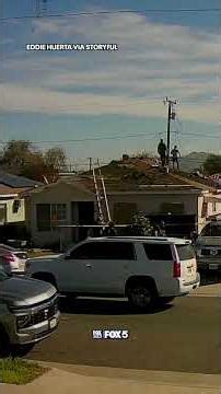 Construction workers jump across roofs mid-ICE raid