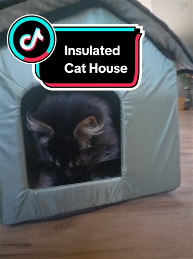 Essential Thermal Insulated Cat House for Winter Comfort