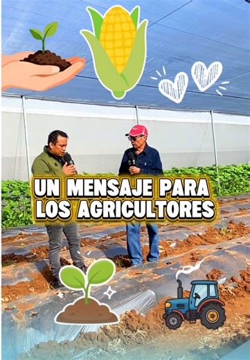💬 No pierdan el rumbo, sigan en el campo. Porque, como él lo menciona, la agricultura no solo es trabajo, también es una actividad muy bonita, noble y fundamental para la sociedad. 🌾 Además, deja una recomendación muy importante para fortalecer al sector: 🤝 Mantenerse organizados La organización entre productores ayuda a: 📚 Retroalimentarse y compartir experiencias 💡 Aprender de otros agricultores 📈 Enfrentar mejor los retos que influyen directamente en el campo Cuando existe unión, es más