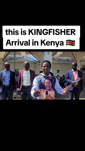 Kingfisher Arrival in Kenya: A Captivating Experience