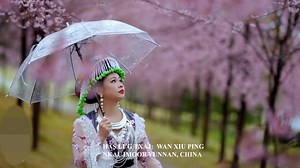 41K views · 1.5K reactions | LUG TXAJ MOOB TSOOBKUJ-HMONG CHINA FOLK SONG. | Hmong TV Network | Facebook