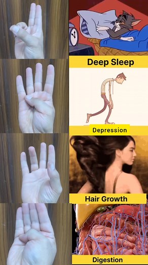 4 Powerful Mudras for a healthy life . Practice these for 5-10 mins daily along with Asanas and Pranayama. Follow me for more Yogic Lifestyle with Anish #yoga #yogi #mudras #healthylifestyle #healingjourney #mind #mudras #fingers #explorepage #digestion #sleep #hairfall #depression #digestion #tired #constipation #trend #bloodpressure #health #disease #healthylifestyle #yogateacher #yogainspiration #yogalifestyle #yogicwisdom #trendingnow #fbreelsvideo #nervoussystemhealing #viral #trending #vir