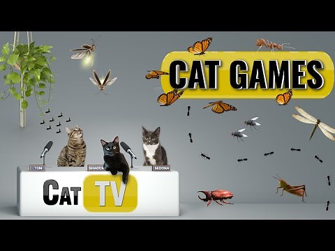 CAT Games | Ultimate Cat TV Bugs and Butterflies Compilation Vol 7 🐝🐞🦋🦗🐜 | Videos For Cats to Watch