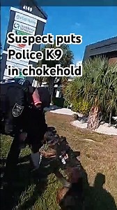 A wanted suspect made the wrong decision when he put an LCSO police K9 in a chokehold.