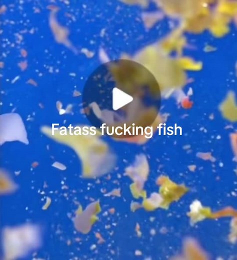 AI TIKTOK THIS IS AI reposting because ofher one got taken down #fyp #fypシ #fy #fishing #fish #explode #fish explode