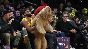 WATCH: Brodie, the courtside dancing dog at Lakers game, makes more than NBA stars