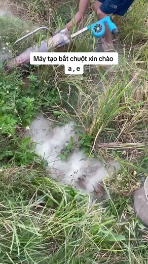 How to Set Up a Rat Trap Effectively