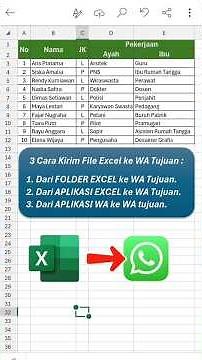 3 Cara Kirim File Excel ke WA Terbaru 2026 - Mudah dan Cepat #shortsyoutube