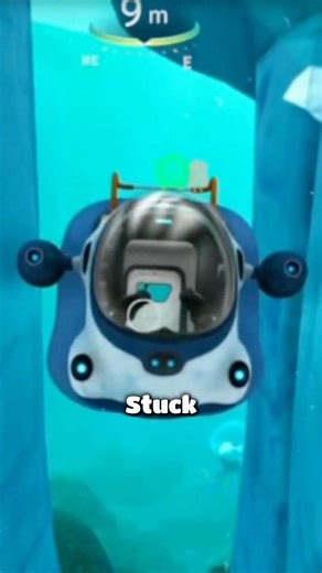 The best pilot in Subnautica 😌 | Subnautica Below Zero
