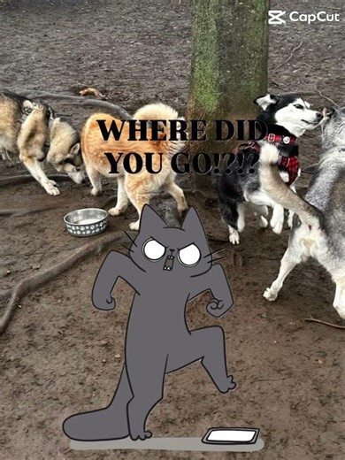 Text back! Meme #memesdaily