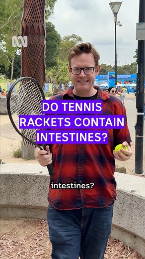 What exactly are tennis racquet strings made of? 🎤: Julian O'Shea #Tennis #Strings #Catgut #Intestines | ABC Science