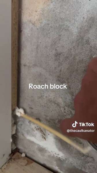 The only way to stop the cockroach's from getting in. After it drys, just chop off the excess. #fyp #diy #satisfy #silicone #expanderfoam