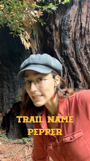 yikes eh? at least the redwoods are cool!! #redwoods #coastalredwoods #new #coastredwoods #new #explore #intro #reels #nature #trees | pepper steps