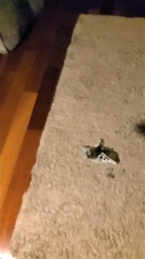 lego ship blowing up #slowmotion #satesfying