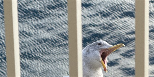 Blank Baby (demo with extra verses)