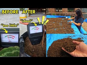 The Azolla Drying Process has a multitude of benefits, one of which is becoming Azolla Organic Fe...