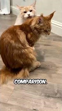 5 Real Animals That Look Like Video Game Bosses #AnimalFacts #Animals #Wildlife