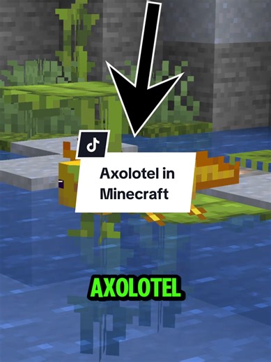 Exploring Axolotls in Minecraft Gameplay