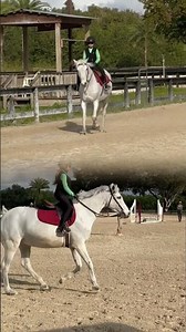 Gigi Macedo Learning how to canter. #canter #equestrian #horseshow #pony #riding #horseriding