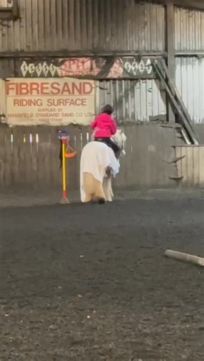 SIMBA does gymkana… is there anything this pony doesn’t do..?? 😅 Full ad for SIMBA can be found on BRTC Horse and Pony Sales page | BRTC Horse and Pony Sales