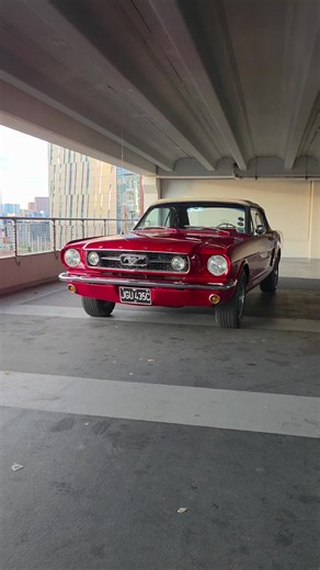 1965 Mustang: Classic 65 Mustang nostalgia and highlights