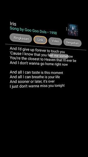 Explore the Meaning Behind Iris Lyrics