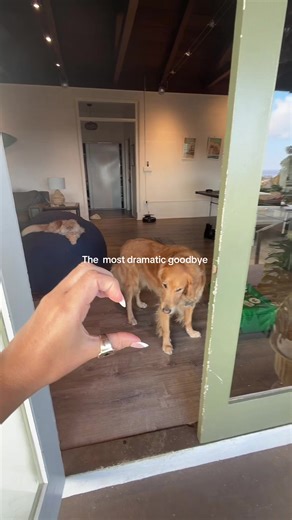 The most dramatic goodbye | people saying goodbye