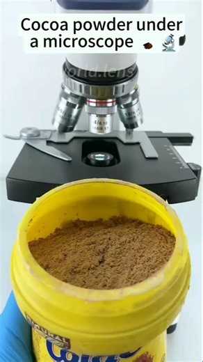 Coca powder under the microscope & short video &
