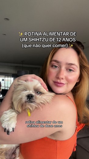 Rotina alimentar de um Shih Tzu: dicas e desafios