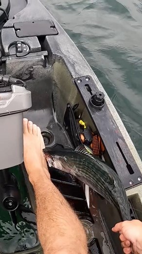 5.8M views · 10K reactions | Bonito takes a bite out of my foot! Ouch… #fishing #fail #kayaks | Fish RI | Facebook