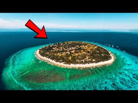 Uganda jungle ka story 😱😱