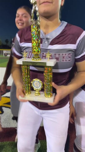 Lady Hawks: Undefeated District Champs!