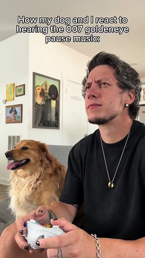 Adorable Dog Enjoying Music Compilation